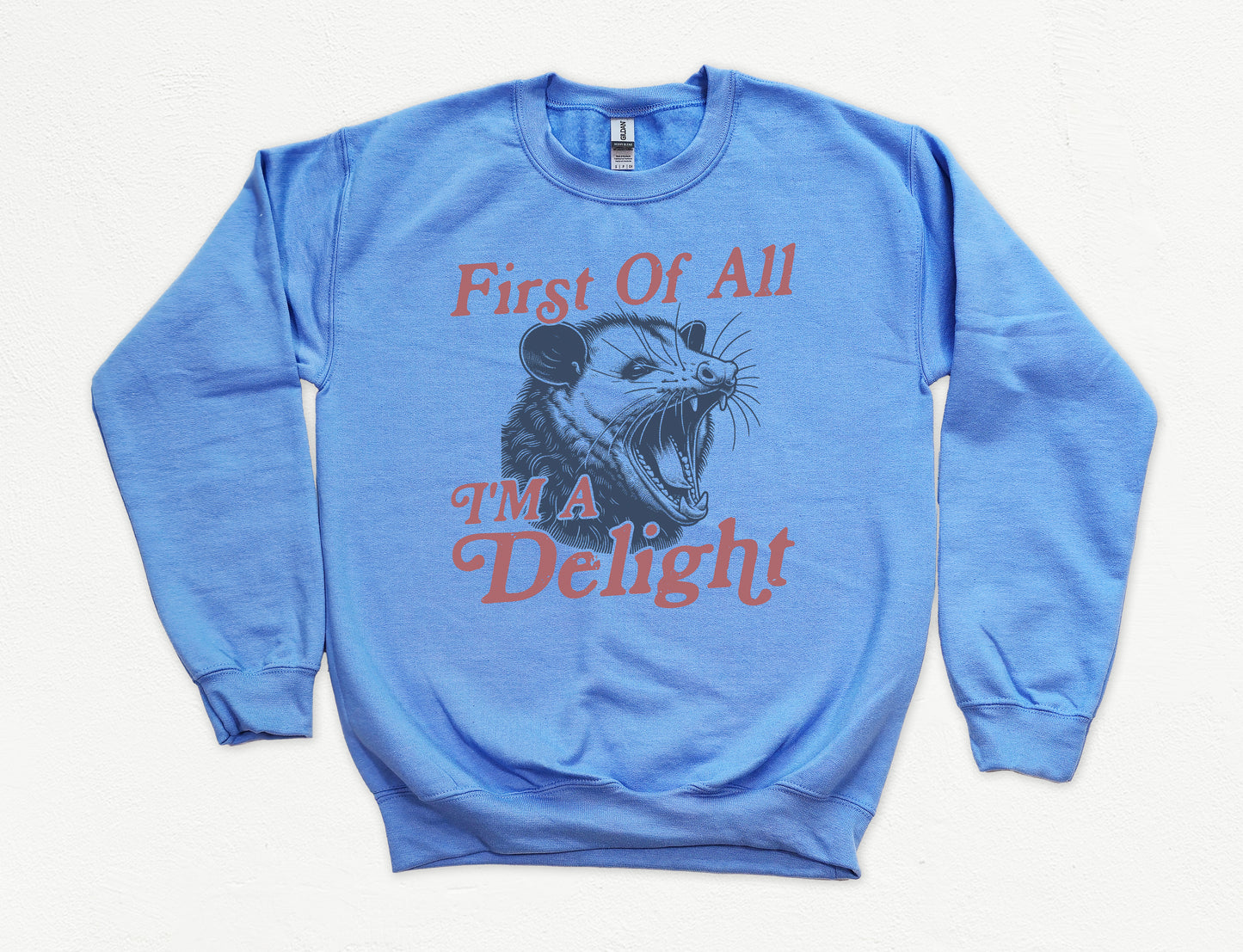 First Of All I'm A Delight Sweatshirt | Funny Sarcastic Sweatshirt