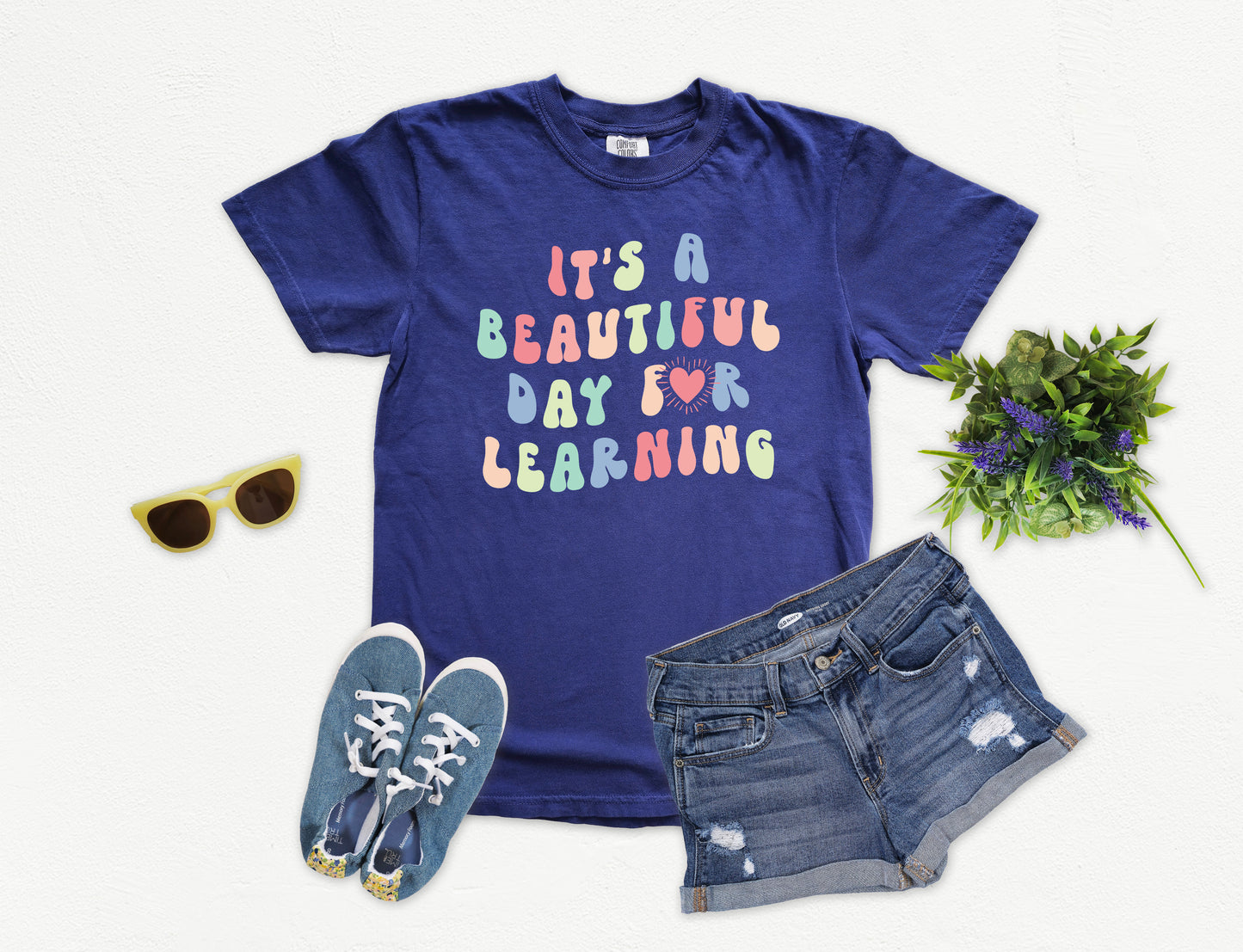 It's a Beautiful Day For Learning Shirt | Comfort Colors Vintage Style Teacher Shirt